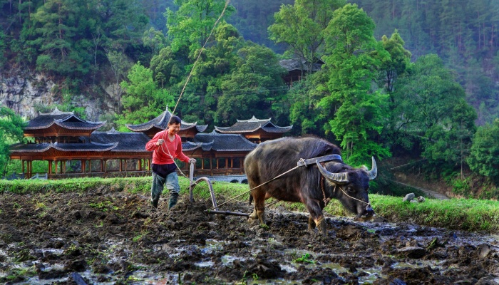 土地确权后有纠纷找哪个部门 看台账还是确权证