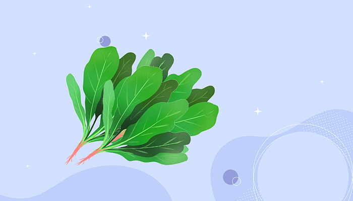 菠菜籽的食用方式是什么？注意事项有哪些？