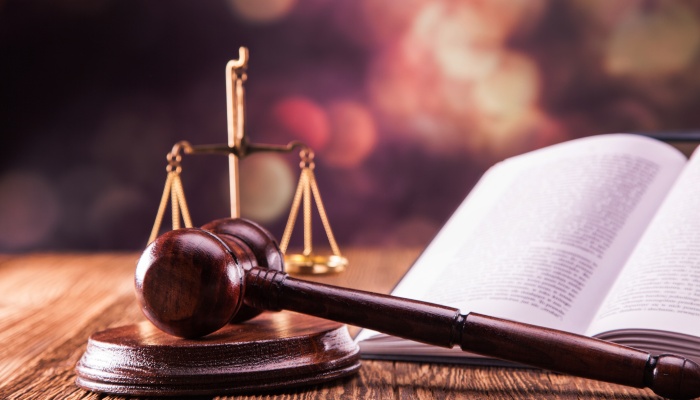 天降乌龟致孩子身亡 饲主全责判赔128万