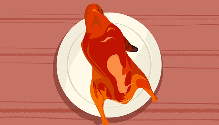 鸭肉不能和什么食物一起吃?鸭肉有什么营养价值?