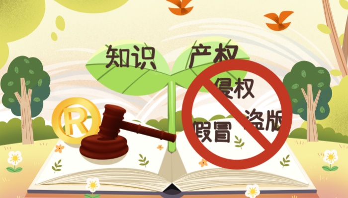 软件知识产权侵权如何取证