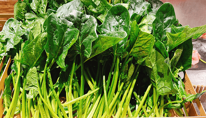 菠菜怎么做好吃？吃菠菜有什么好处吗？