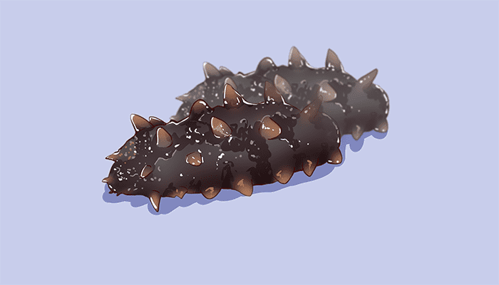 ​海参的营养成分是什么？海参有哪些做法？