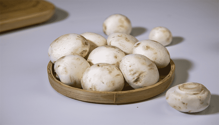 口蘑怎么做好吃？吃口蘑有什么好处吗？