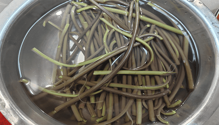 蕨菜怎么做好吃？吃蕨菜有什么好处吗？