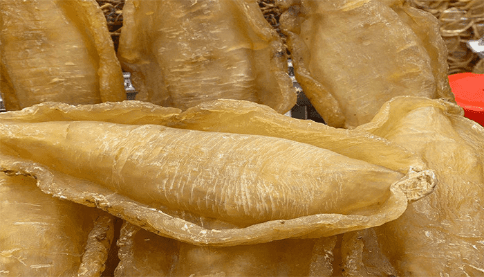 鱼胶的功效与作用？吃鱼胶有什么注意事项？