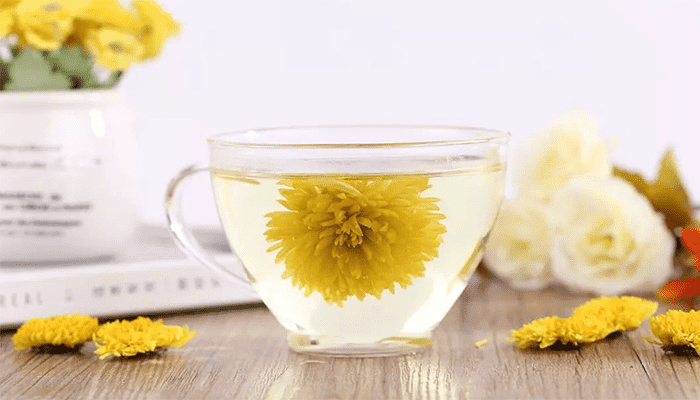 菊花的功效作用是什么？可以泡茶喝吗？