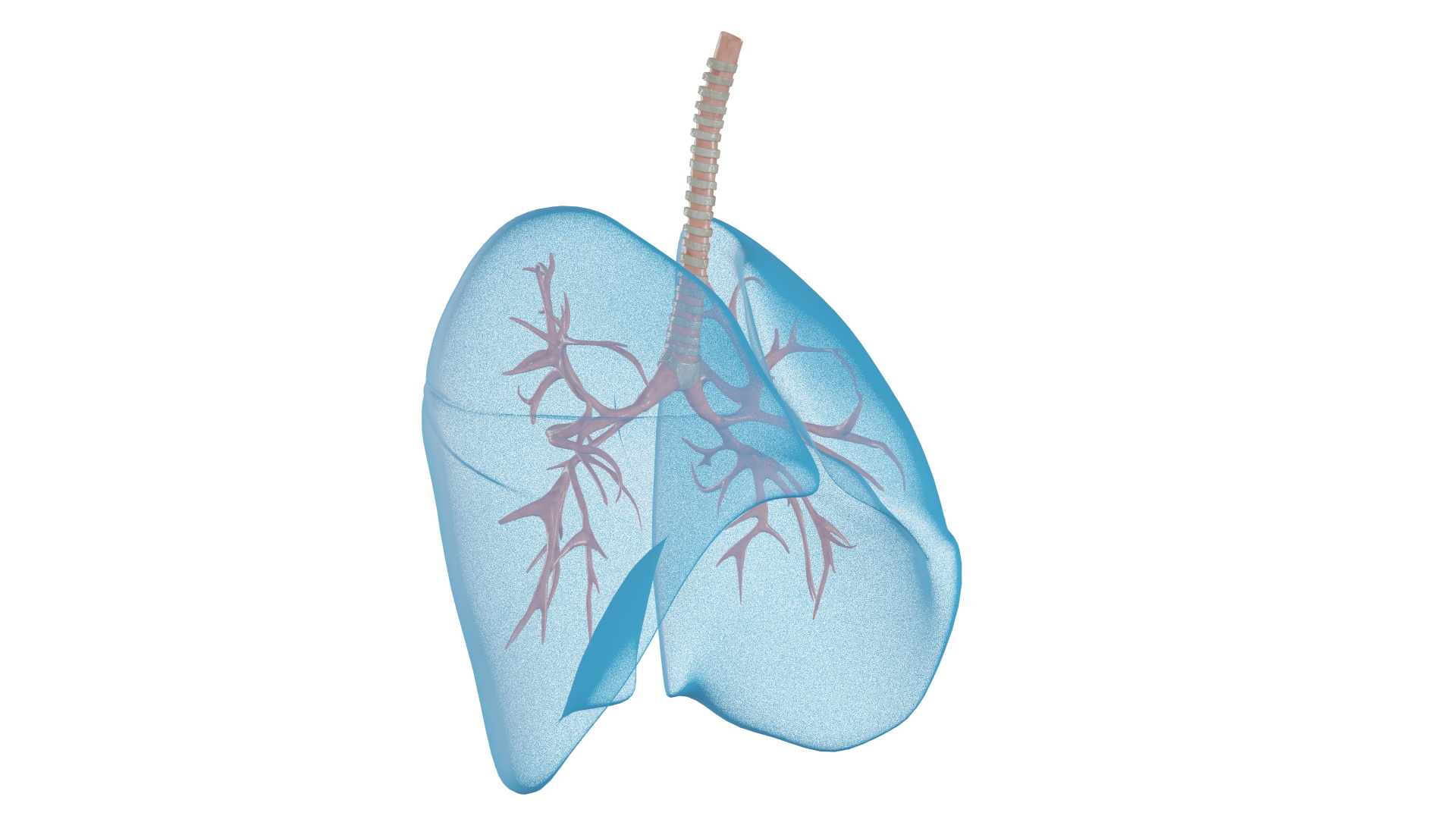 怎样治早期肺部瘤