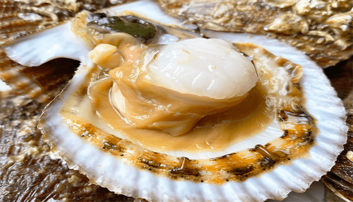 吃扇贝容易得痛风吗？扇贝怎么做好吃？
