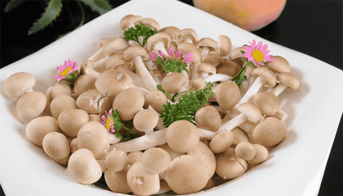 蟹味菇是什么？蟹味菇有哪些吃法？