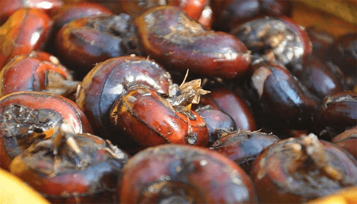 男人吃荸荠有什么好处？哪些人不适合吃荸荠？