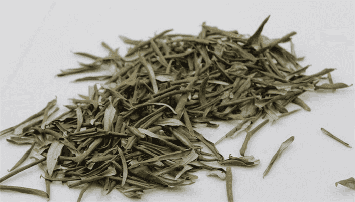 沙棘叶的功效和作用？有哪些做法？