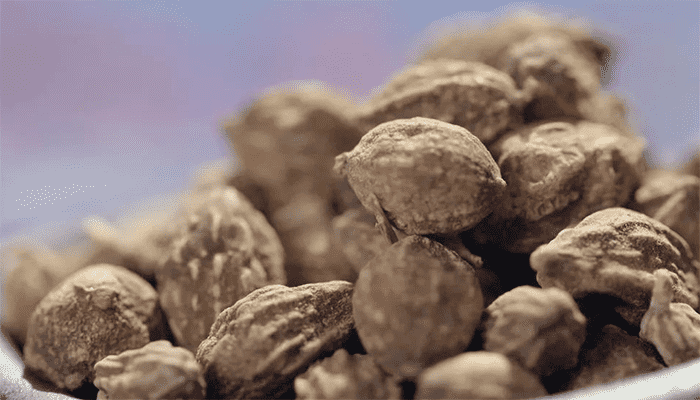 益智仁是姜吗？益智仁适合哪些人吃？