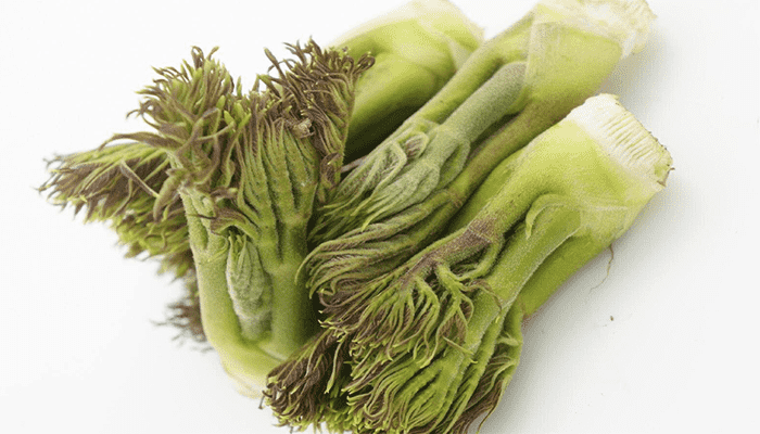 刺嫩芽是香椿吗？刺嫩芽怎么吃？