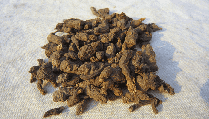 天葵子是中药吗？天葵子适合哪些人群？