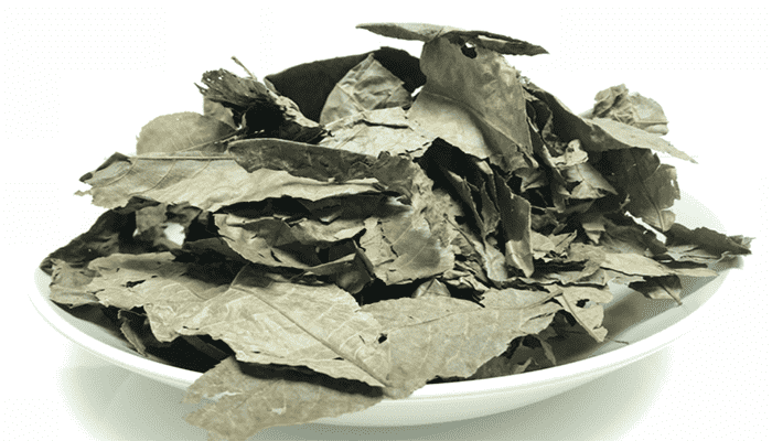 青钱柳可以泡茶喝吗？青钱柳有哪些功效？