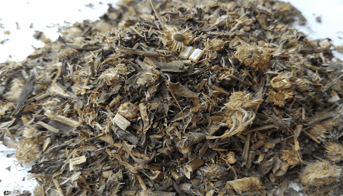 金沸草可以泡茶喝吗？金沸草有哪些功效？