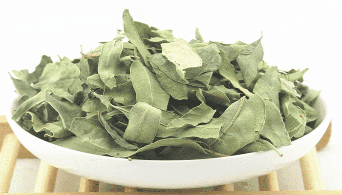 罗布麻叶有哪些功效？适合什么人群吃？