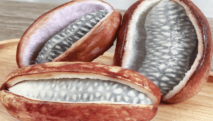 孕妇可以吃预知子吗？预知子有哪些功效？