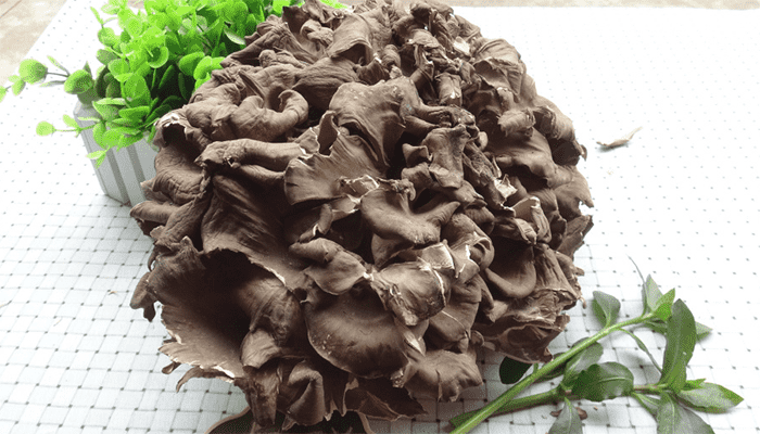 灰树花有哪些营养？灰树花怎么吃？