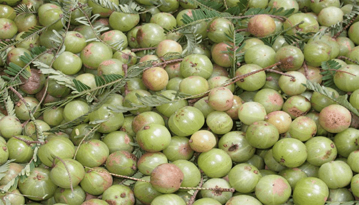 油甘果富含哪些营养？适合哪些人群吃？