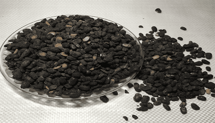 淡豆豉是什么做的？有哪些吃法？