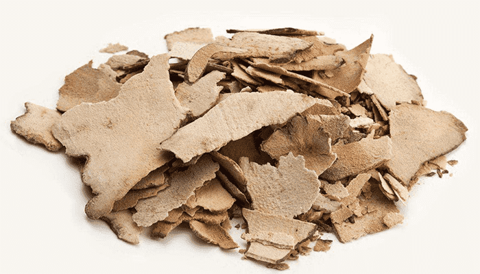 土茯苓是树根吗？土茯苓应该搭配哪些食材食用？