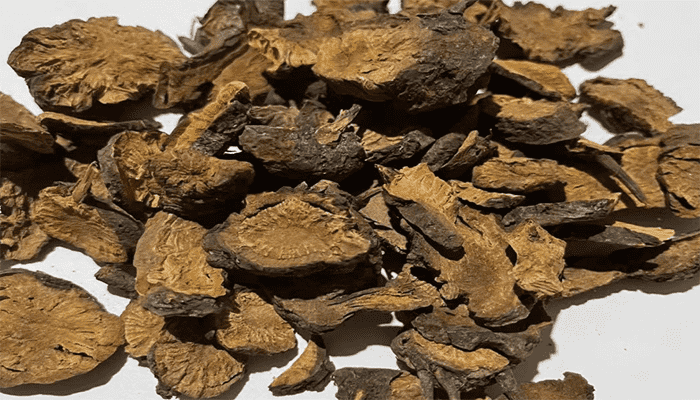 地榆的功效作用是什么？地榆的营养价值高吗?