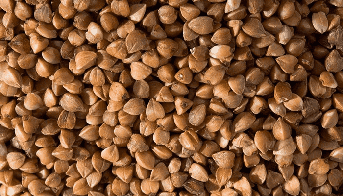 金荞麦是中药吗？金荞麦的功效？