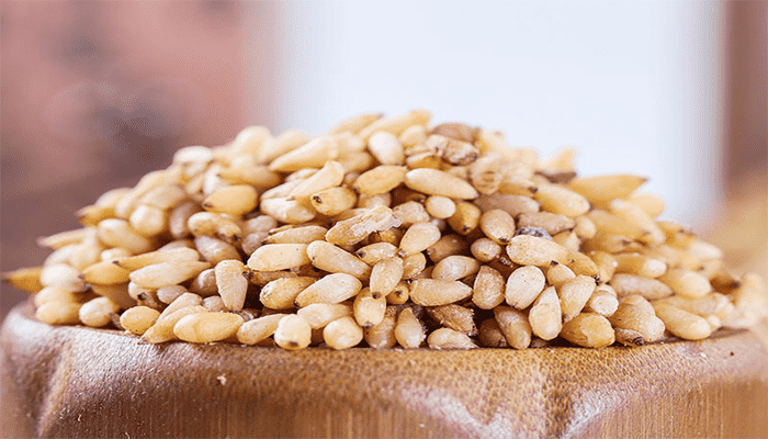 柏子仁的功效与作用？柏子仁如何食用？