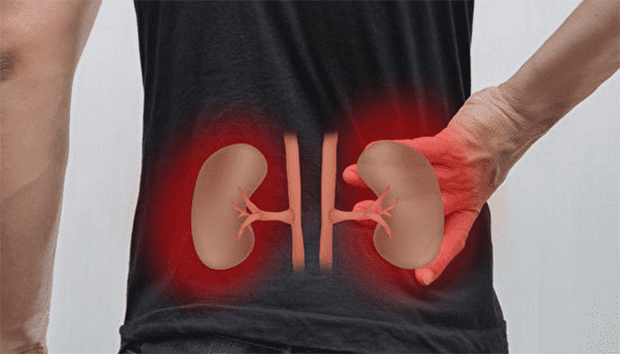 肾虚了吃什么好的最快？有什么注意事项？