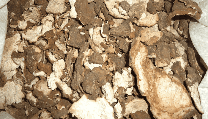 茯苓皮是中药吗？适合哪些人群吃？