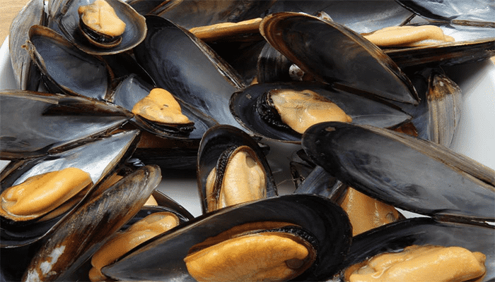 淡菜是贝壳肉吗？淡菜适合哪些人吃？