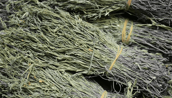 独脚金的营养价值高吗？独脚金应该怎么吃？