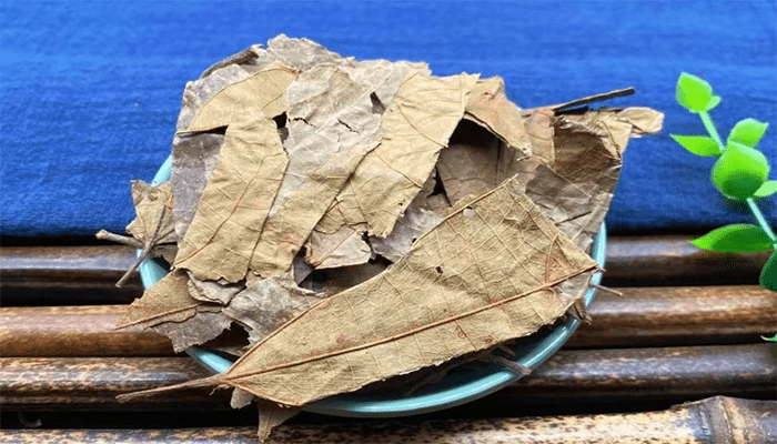 布渣叶可以泡茶吗？适合哪些人喝？