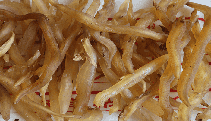 天冬的功效作用？天冬的吃法？