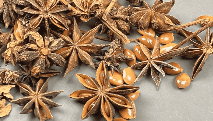 八角桂皮花椒冲突吗？八角可以放多久？