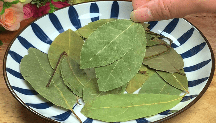 香叶是什么树的叶子？香叶在调料中的作用？