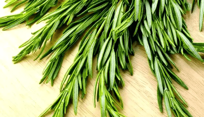 迷迭香的功效与作用？迷迭香可以泡水喝吗？