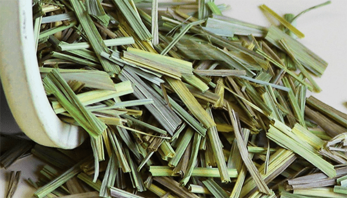 香茅可以泡水喝吗？香茅的主要成分？