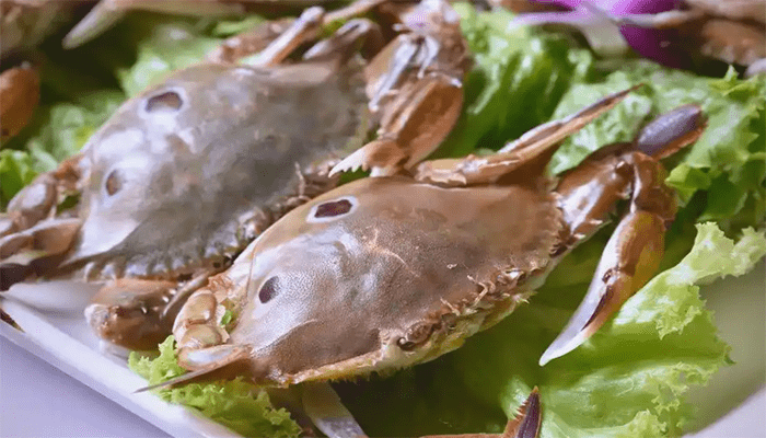 孕妇能吃螃蟹吗？有什么搭配建议？
