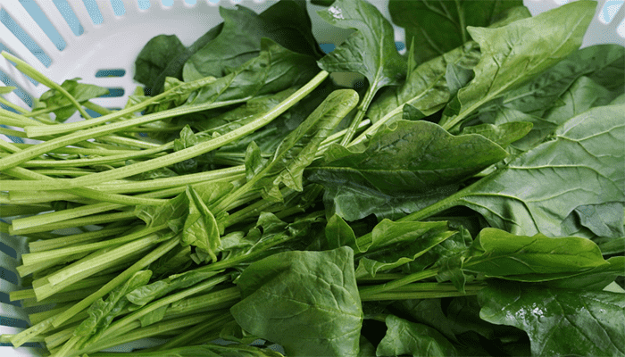 孕妇吃菠菜好吗？孕妇适合吃什么绿叶菜？