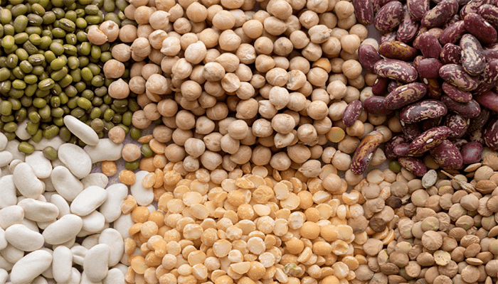 膳食纤维丰富的豆类有哪些？吃了能增强饱腹感吗？