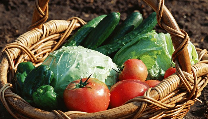 富含膳食纤维的蔬菜有哪些？常吃能改善便秘吗？