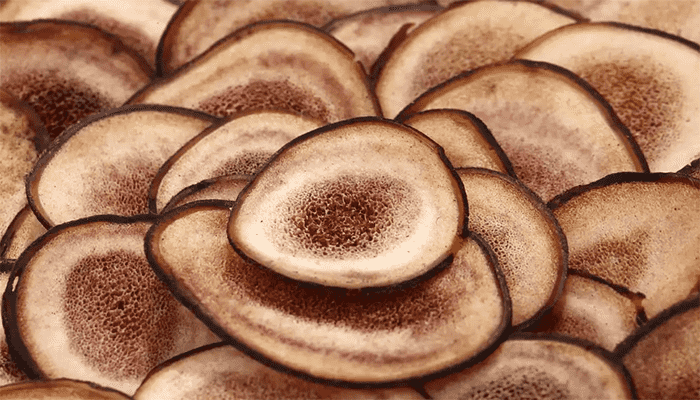 男人吃鹿茸有什么好处？哪些人不适合吃鹿茸？