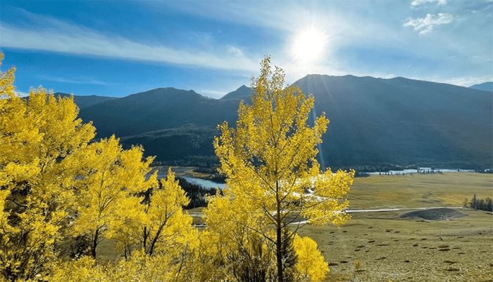 秋季为什么容易口干？秋季口干可以吃什么？