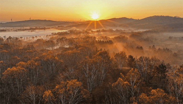 秋季为什么容易咳嗽？秋季咳嗽可以吃什么？