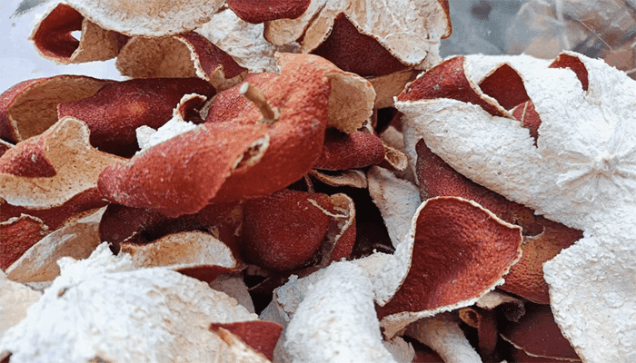 三伏天喝陈皮水的好处？饮用禁忌是什么？