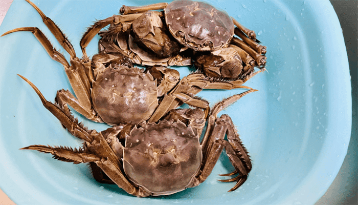 胃凉了吃什么汤品暖胃？胃凉能吃螃蟹吗？